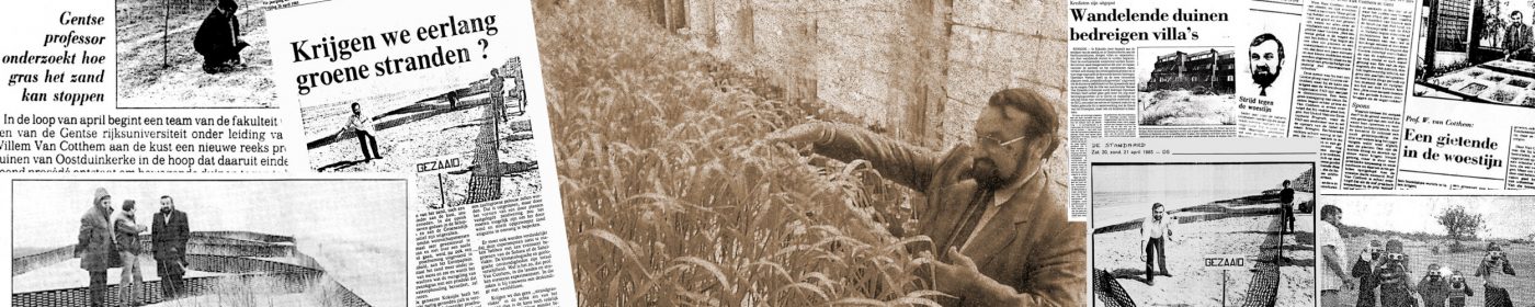 Terracottem Hakkında